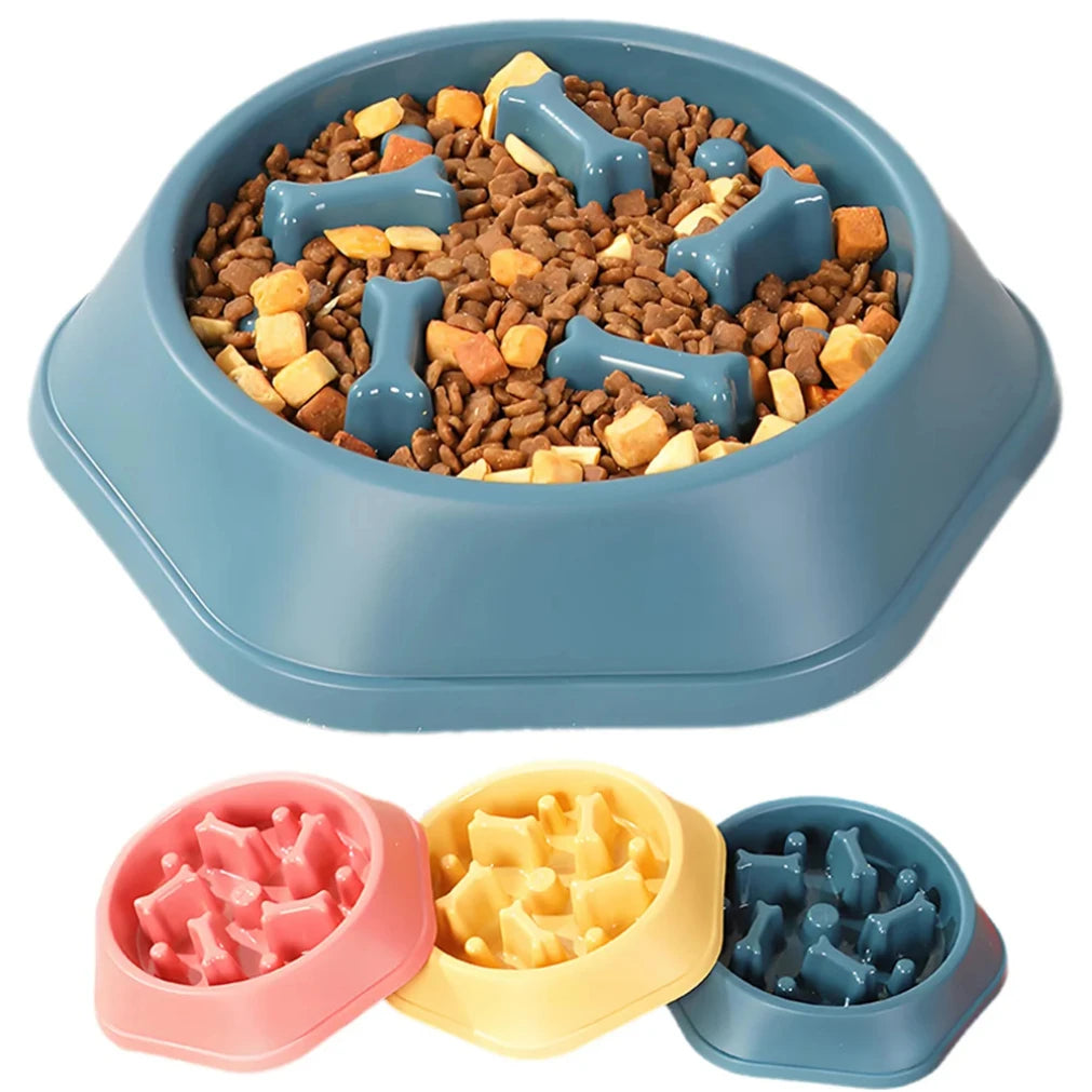 PaceMaze Bowl image 2